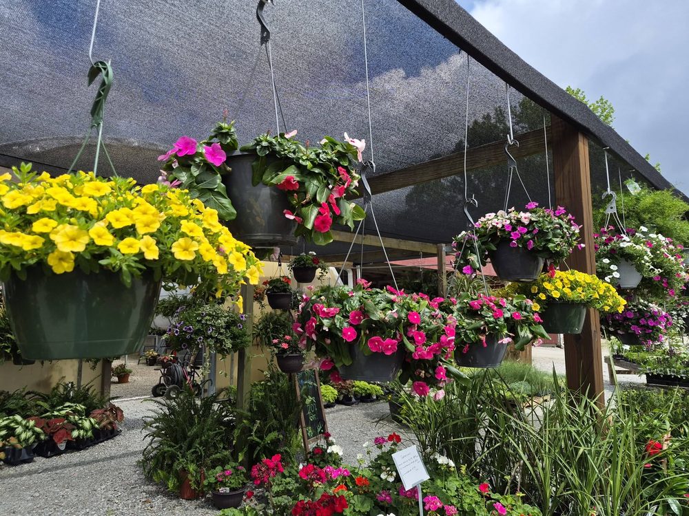Hanging flower baskets