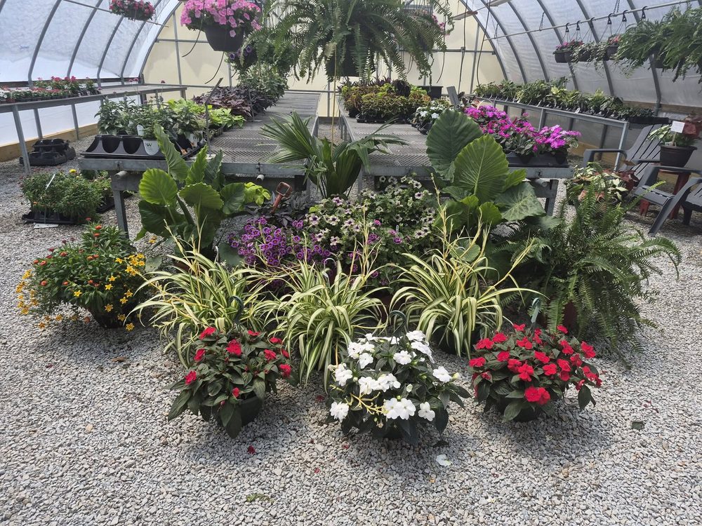 Greenhouse plant display