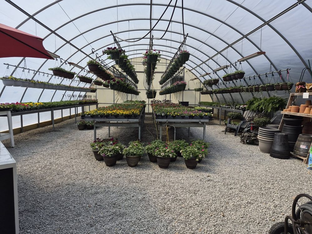 Inside the greenhouse at General Hardware & Supply